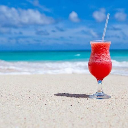 Le Palmier Bleu, Cocon Tropical, Plage & Piscine Anse Marcel Экстерьер фото