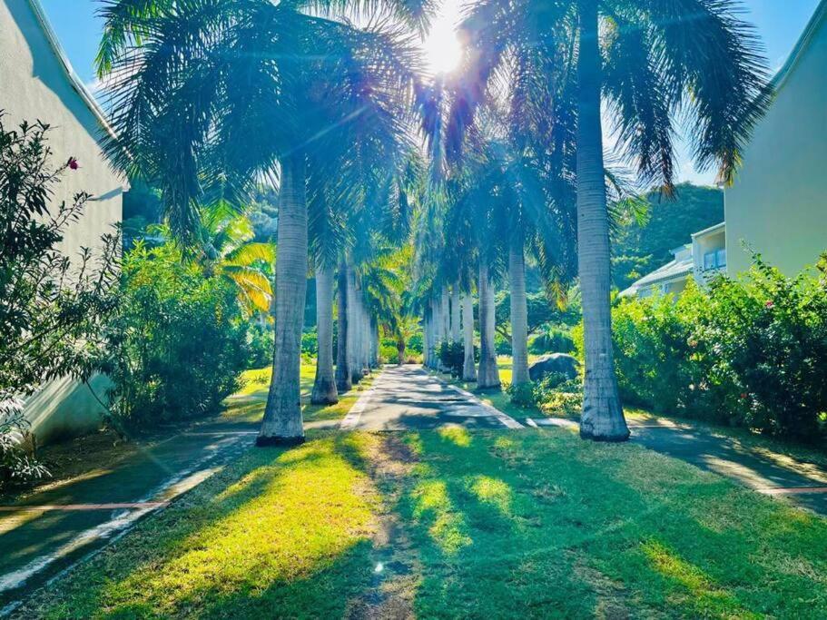 Le Palmier Bleu, Cocon Tropical, Plage & Piscine Anse Marcel Экстерьер фото